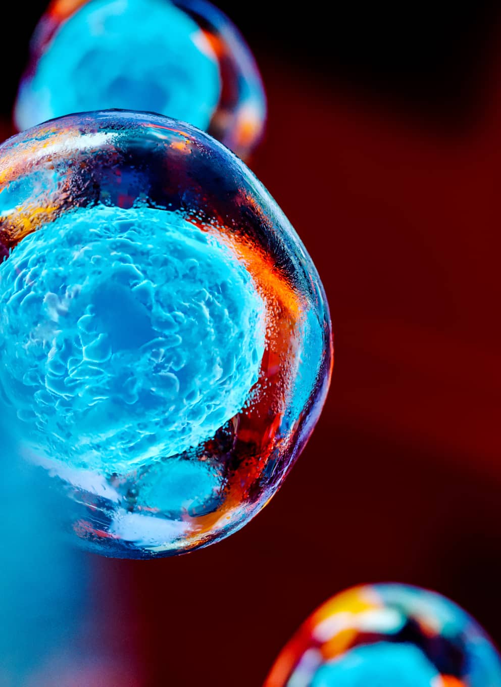 Healthcare & Life Sciences